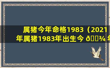 属猪今年命格1983（2021年属猪1983年出生今 🌾 年的运气好吗）